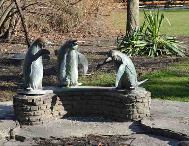 A penguin fountain that apparently only serves as a fountain when it's above freezing. 